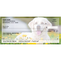 dog,personal checks,animal,Checks,Golden Retriever